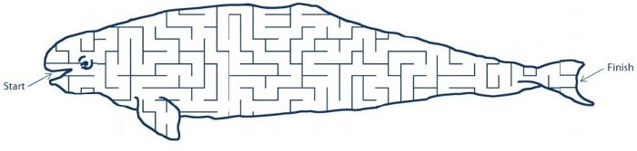 maze image